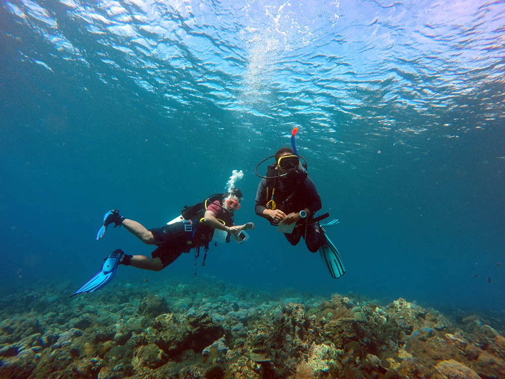 Kegiatan pemantauan kesehatan terumbu karang di Bali. Foto : Reef Check Indonesia
