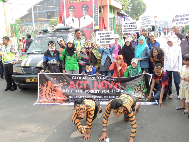 Peringatan Global Tiger Day 2015 di Purwokerto, Jawa Tengah pada Minggu (09/08/2015). Kampanye penyelamatan harimau sumatera ini dilaksanakan serentak di 7 kota di Indonesia. Foto : Apris Nur Rakhmadani/Purwokerto