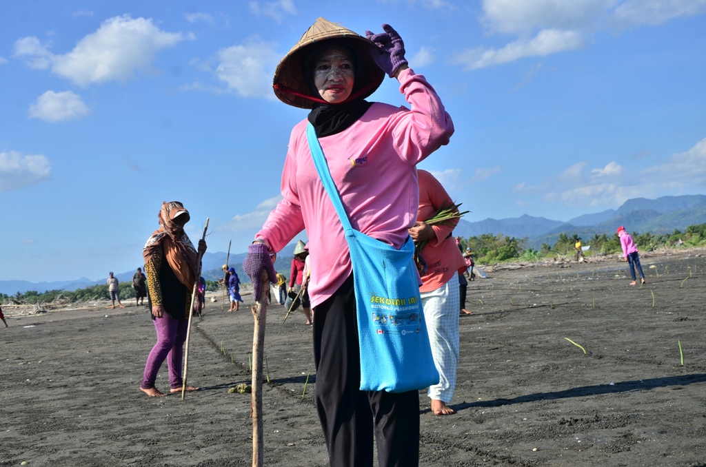 Meski telah berusia lanjut Rusnawati, perempuan dari Desa Lampoko, Balusu, Kabupaten Barru, Sulsel termasuk yang paling bersemangat dalam kegiatan penanaman mangrove tersebut. Foto : Wahyu Chandra