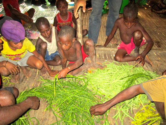 Warga Koroway juga menanam sayur mayur. Foto: Silva Papua Lestari