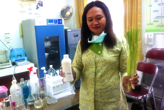 Sri Wahyuni dan Serai Wangi: Sri Wahyuni, staf laboratorium kimia, Balai Konservasi Borobudur memperlihatkan serai dan minyak serai yang dimanfaatkan untuk menghambat pertumbuhan lumut kerak atau lichen. Foto: Nuswantoro