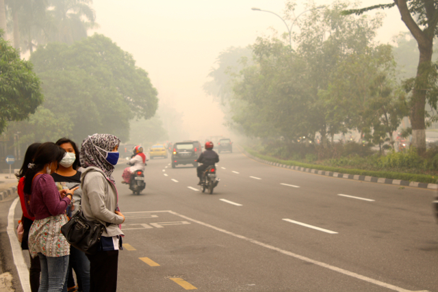 Kabut asap pekat belum juga pergi dari Pekanbaru, Riau...Foto: Nurul Fitria