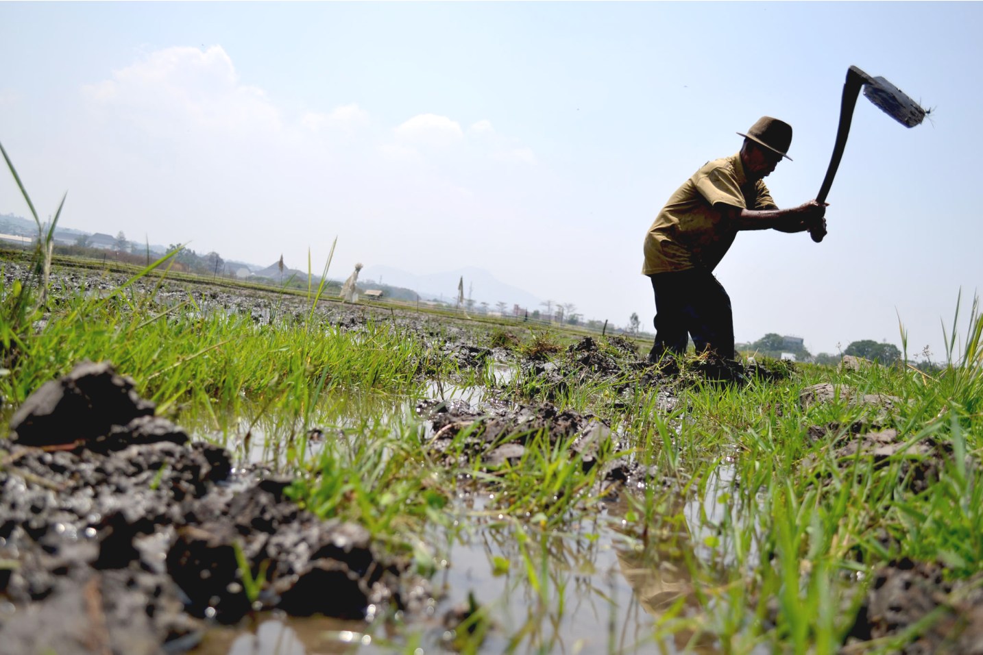 Beginillah Kondisi Sektor Pertanian Di  Jabar Mongabay co 