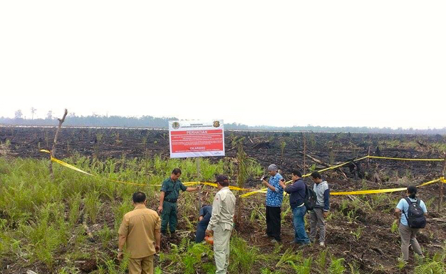 Kementerian Lingkungan Hidup dan Kehutanan menyegel lahan terbakar, yang mulai ditanami sawit di Kalimantan Tengah. Foto: Save Our Borneo