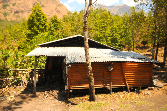 Rumah Tata Mandong di Lembah Ramma. Foto: Eko Rusdianto