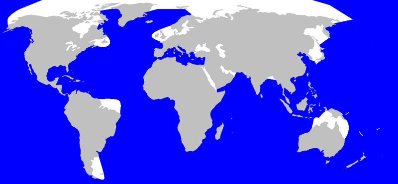 Peta persebaran paus sperma (warna biru). Sumber: Wikipedia