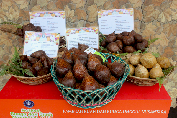 Varian salak