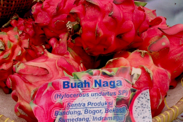 Buah Naga