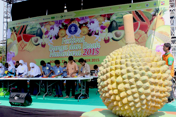 Festival Bunga dan Buah Nusantara 2015 yang digelar di Kampus IPB Bogor, 27-29 November 2015. Foto: Rahmadi Rahmad