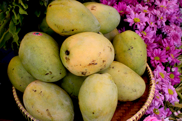 Mangga