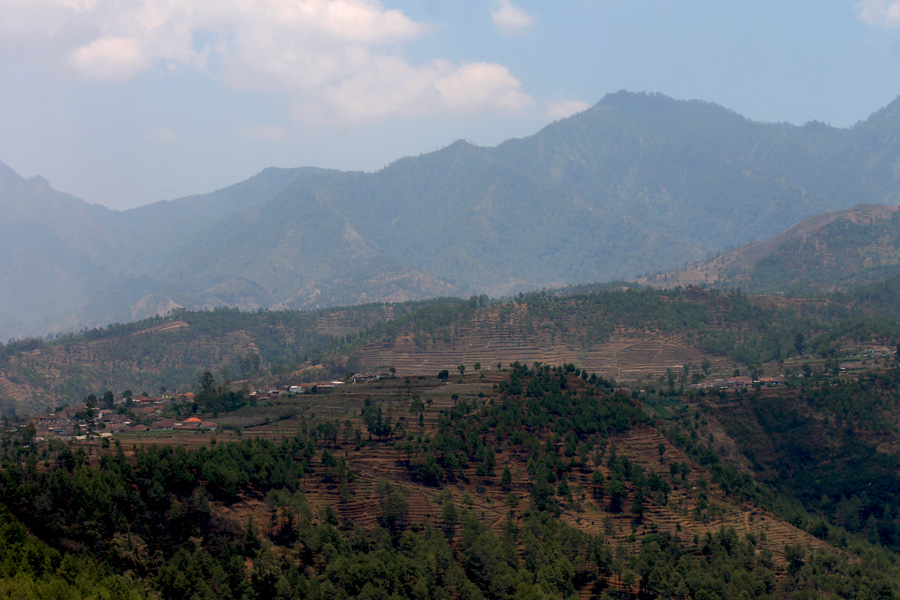 Kondisi bukit dan pegunungan di Malang yang gundul akibat pembangunan hunian dan alih fungsi lahan. Foto: Petrus Riski