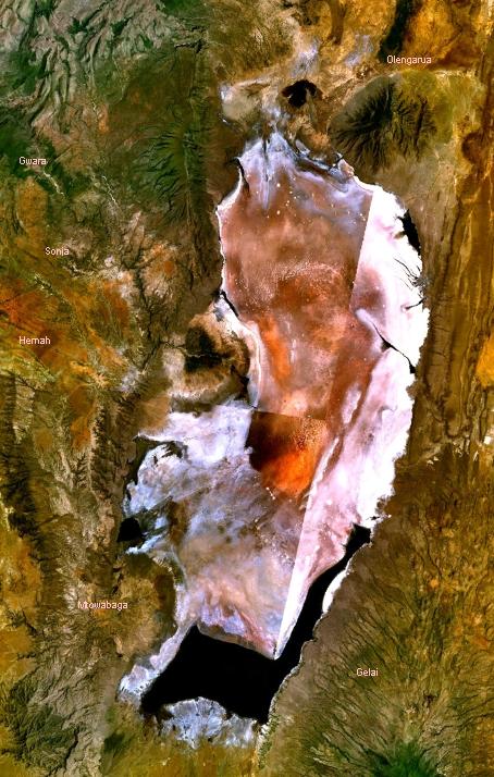 Kondisi Danau Natron berdasarkan citra satelit. Sumber: Wikipedia