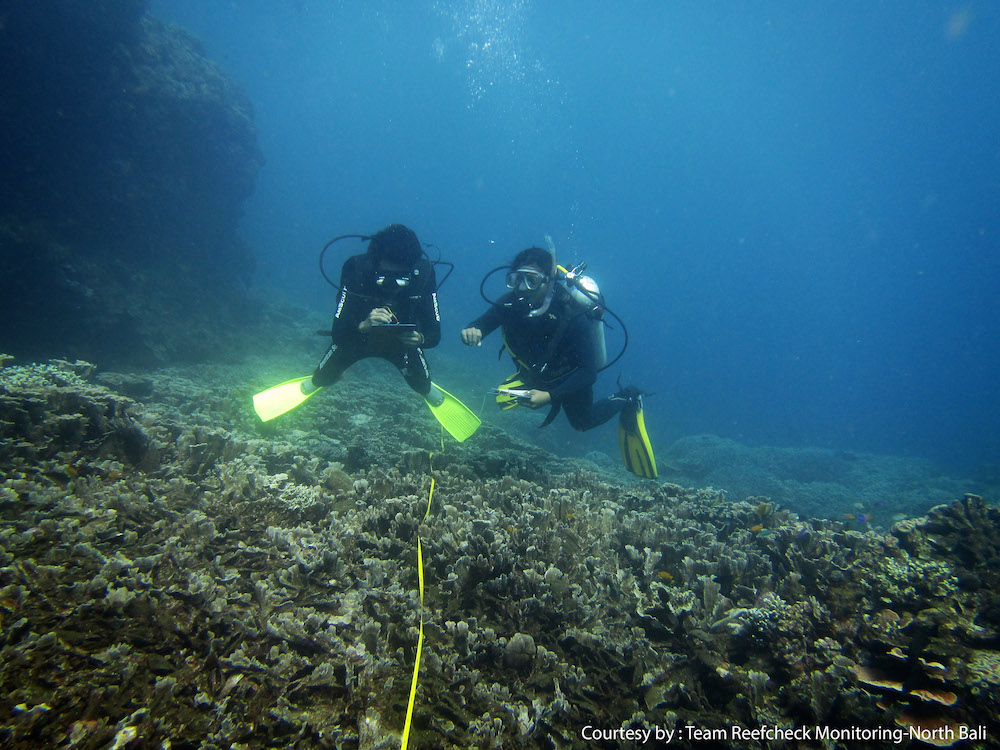 Kegiatan pemantauan kondisi terumbu karang di perairan Bali utara, yang dilakukand alam rangka peringatan Reef Check Day. Secara  umum kondisi terumbu karang di Bali utara relatif baik. Foto : Reef Check Indonesia