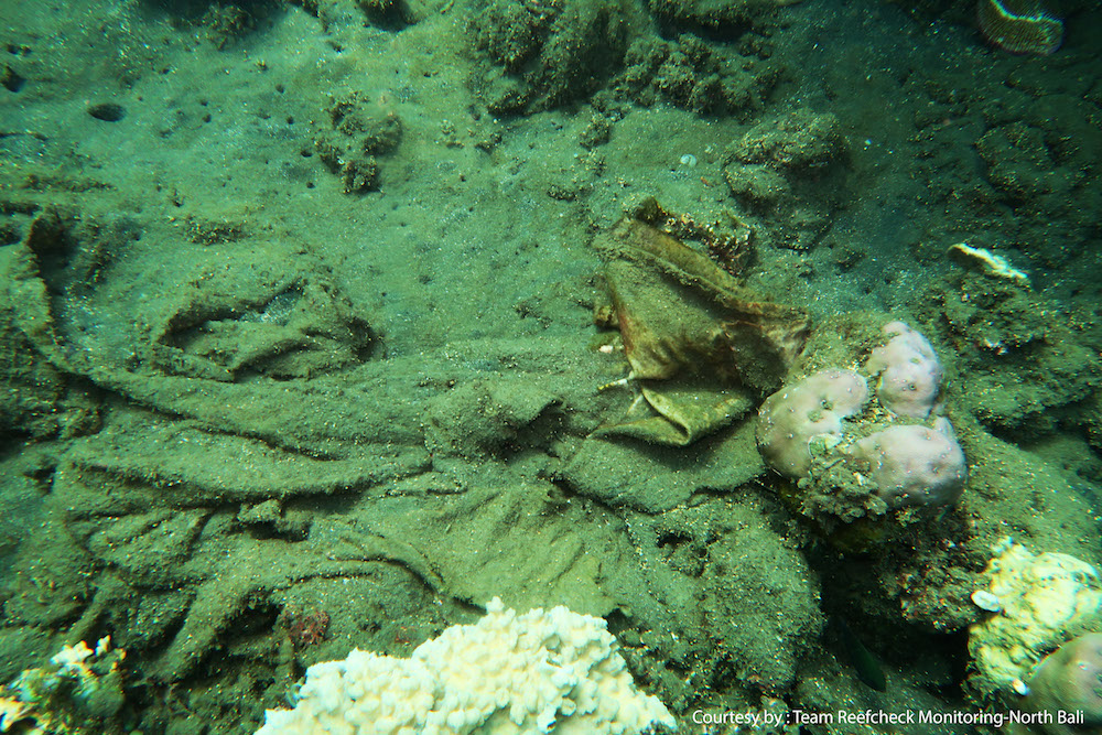Kegiatan pemantauan kondisi terumbu karang di perairan Bali utara, yang dilakukan dalam rangka peringatan Reef Check Day. Meski ecara umum kondisi terumbu karang di Bali utara relatif baik, ada kawasan dengan terumbu karang yang rusak. Foto : Reef Check Indonesia