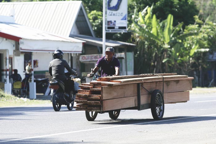 Kayu hasil kegiatan illegal logging tak jarang diangkut dengan becak mesin untuk dibawa ke industri pengolahan kayu. Foto: Junaidi Hanafiah