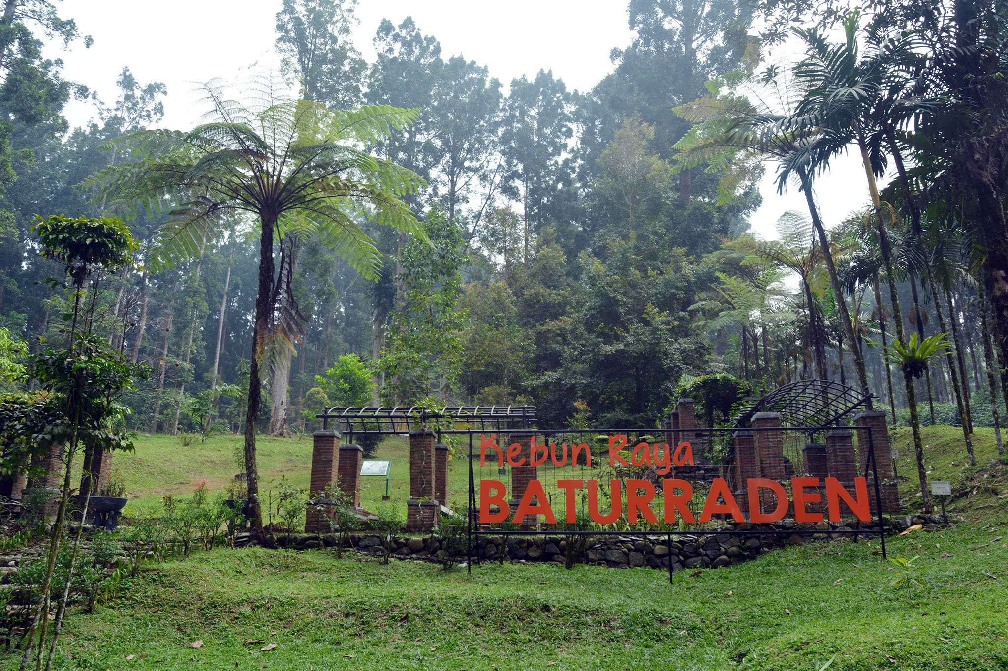 Kebun Raya Baturraden, di utara kota Purwokerto, Jawa Tengah. Foto : L Darmawan 