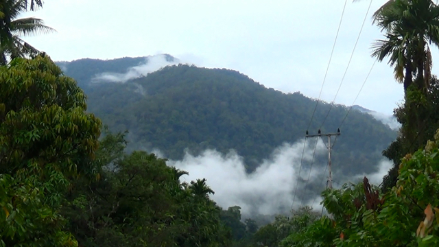 Kawasan TNGL harus terus terjaga. Foto: Ayat S Karokaro