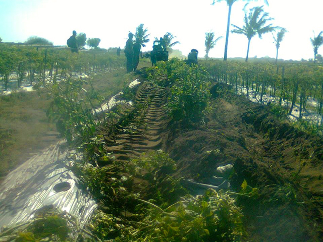 Perusakan tanaman petani yang dilakukan TNI menggunakan eksavator. Foto: Facebook Sunu Chavez