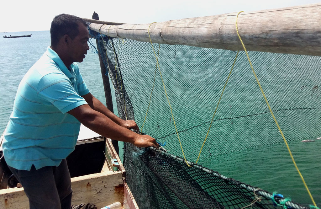 Di keramba yang tak terlalu besar ini, nelayan Suku Bajo di Wakatobi, Sulawesi Tenggara, ikan-ikan hasil tangkapan yang masih kecil dibiakkan sampai besar, mencapai ukuran standar yang bisa dijual. Foto : Wahyu Chandra