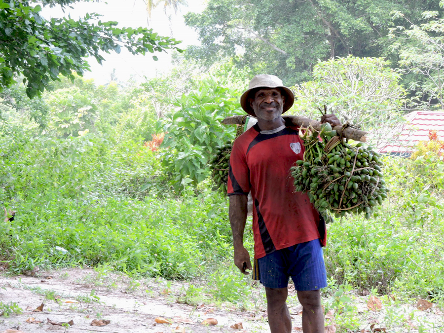 Seorang warga di Pulau Liki membawa pinang dari hasil kebunnya untuk dijual ke pasar. Foto: Christopel Paino