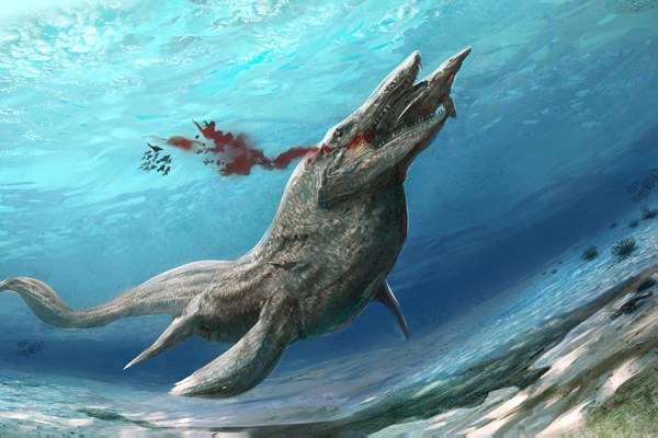 Tylosaurus merupakan kadal laut purba. listverse.wpengine.netdna-cdn.com 