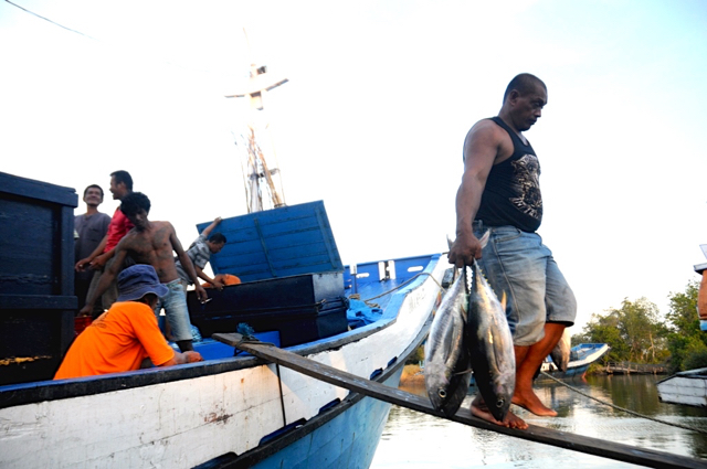 Menurunkan hasil pancingan di pelabuhan ikan Cerekang. Foto: Eko Rusdianto 