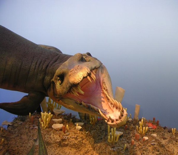 Dakosaurus , salah satu predator teratas di lautan selama sisa jaman Jurassic. Sumber : istverse.wpengine.netdna-cdn.com 