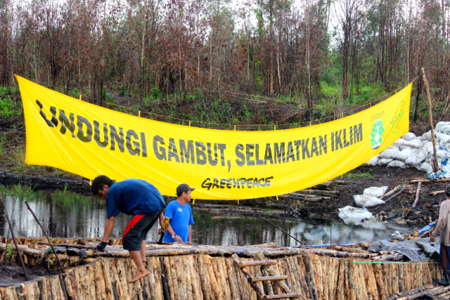 Sekat kanal yang dibuat di Taman Nasional Sebangau, guna mengupayakan gambut tetap basah agar kala kemarau tak terbakar. Foto: Sapariah Saturi