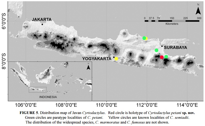 Peta persebaran Cyrtodactylus petani. Sumber: Riyanto et at 2015
