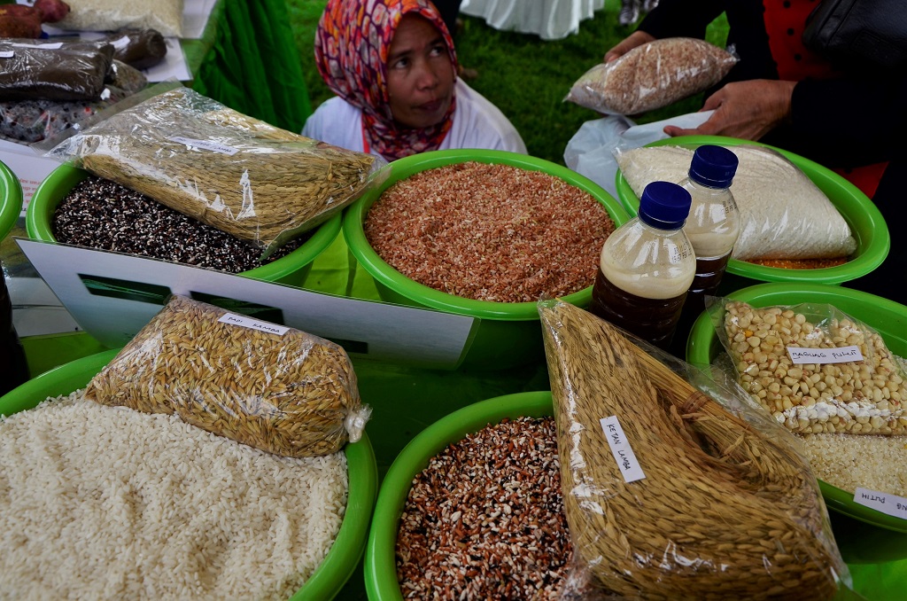 Beragam jenis beras varietas lokal dari Kecamatan Rampi Luwu Utara dipamerkan Makassar Green Food Festival 2015. Di Rampi, sebagian besar warga merupakan petani tradisional yang mempertahankan padi varietas lokal. Foto : Wahyu Chandra