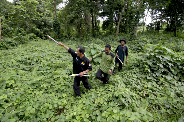Patroli pengamanan hutan terus dilakukan Ranger Purba. Foto: Junaidi Hanafiah