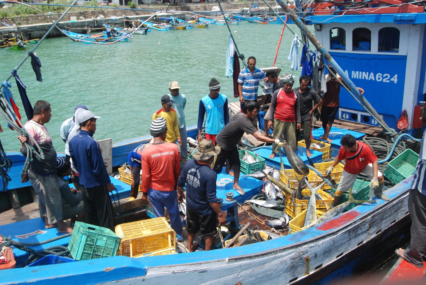 Nelayan melakukan bongkar muatan ikan hasil tangkapan, di Pelabuhan Perikanan Sadeng, Gunung Kidul, Yogyakarta pada awal Desember 2015. Foto : Jay Fajar