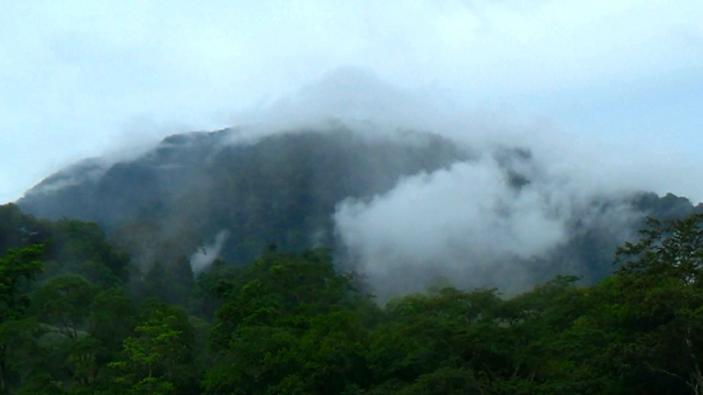 Kabut tebal menyelimuti Gunung Leuser dipandang dari kawasan Aceh Tenggara. Berbagai tumbuhan dan berbagai spesies masih ada disini dan harus terus dijaga tidak rusak. Foto: Ayat S Karokaro