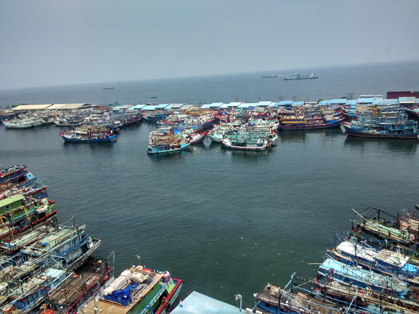 Puluhan kapal penangkap ikan yang bersandar di di Pelabuhan Perikanan Nizam Zachman Muara Baru, Jakarta Utara pada Selasa (19/01/2016) siang. Kapal-kapal tersebut tidak beroperasi karena tidak mempunyai izin atau sedang mengurus izin melaut dari KKP. Foto : M Ambari