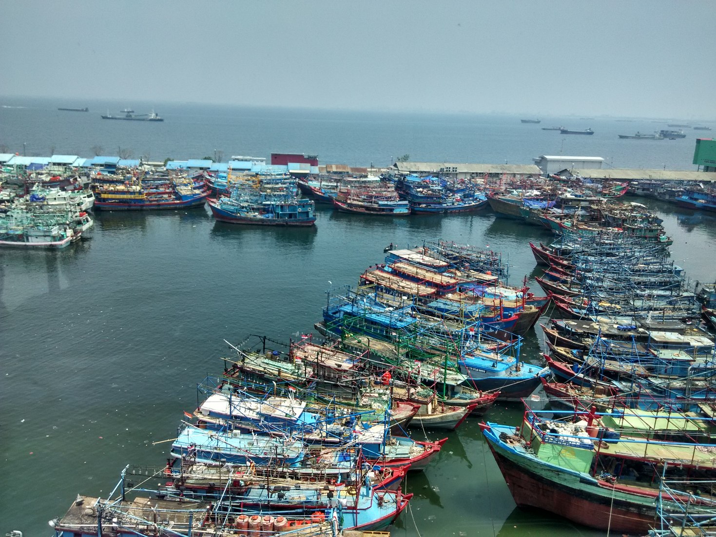 Puluhan kapal penangkap ikan yang bersandar di di Pelabuhan Perikanan Nizam Zachman Muara Baru, Jakarta Utara pada Selasa (19/01/2016) siang. Kapal-kapal tersebut tidak beroperasi karena tidak mempunyai izin atau sedang mengurus izin melaut dari KKP. Foto : M Ambari