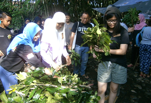 Dwi Utami, membagikan batang maja buat ditanam. Foto: Nuswantoro