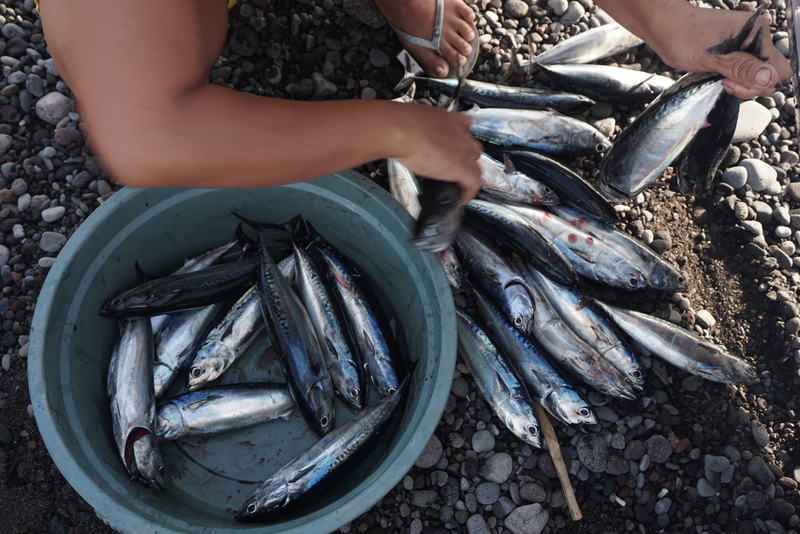 Tangkapan nelayan Karangasem Bali semakin sedikit karena pengaruh perubahan iklim. Foto : Luh De Suriyani