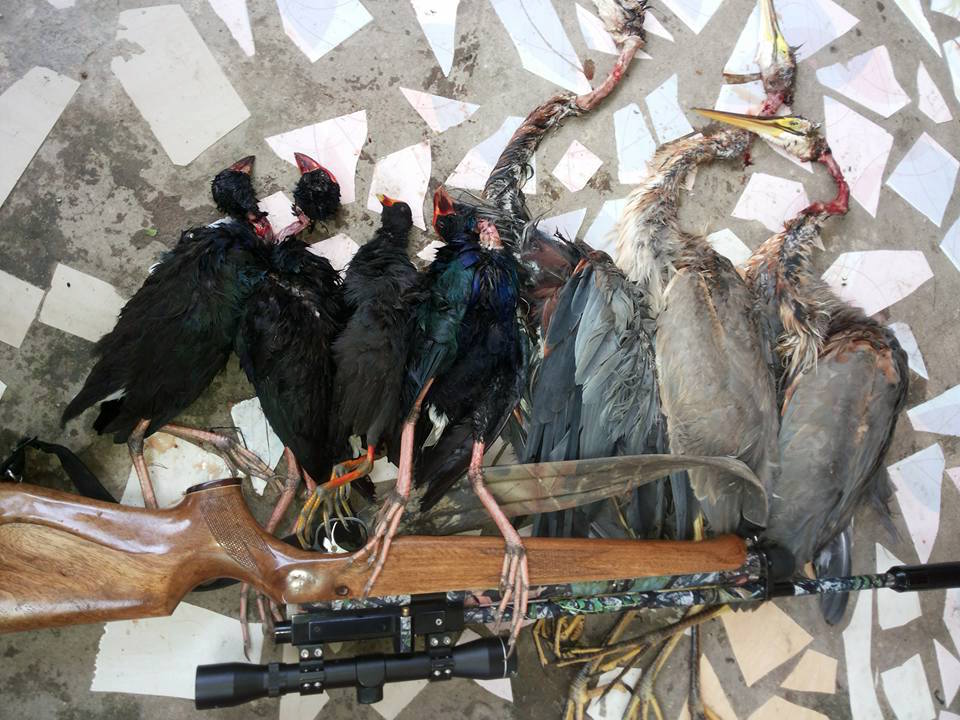 Perburuan burung yang terus terjadi. Sumber: akun Facebook Iswan Husain 