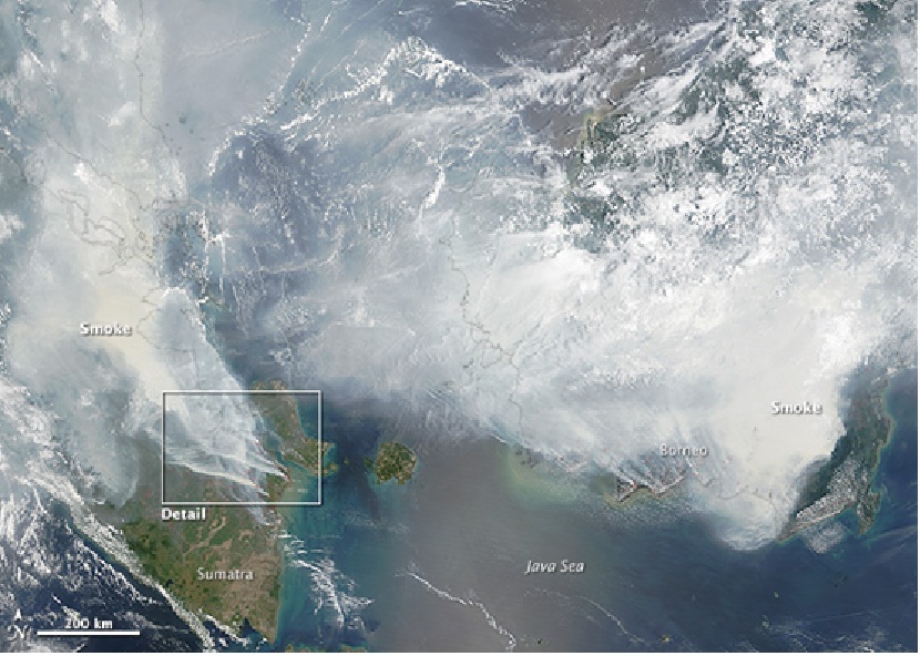Kondisi asap dan hotspot saat kebakaran hutan di Indonesia pada 2015. Foto : NASA Earth Observatory / LANCE MODIS Rapid Response.