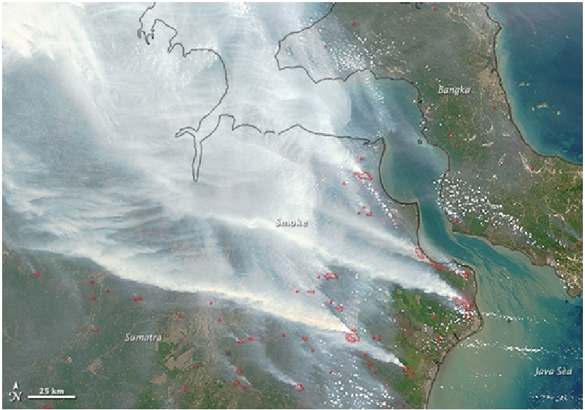 Garis merah menunjukkan hot spot. Asap tebal abu-abu melayang di atas kedua pulau dan memicu peringatan kualitas udara dan peringatan kesehatan di Indonesia dan negara-negara tetangga . Sumber : /NASA LANCE MODIS.