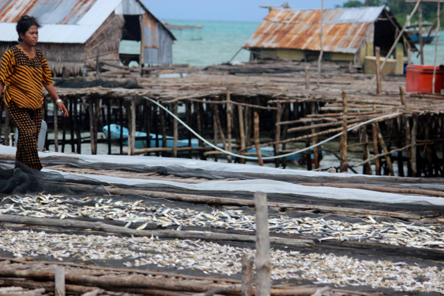 Sektor perikanan, salah satu andalan mata pencarian warga di Bangka Belitung, Kala laut rusak, mereka sulit cari ikan. Tambang-tambang laut mengancam kehidupan mereka. @Sapariah Saturi