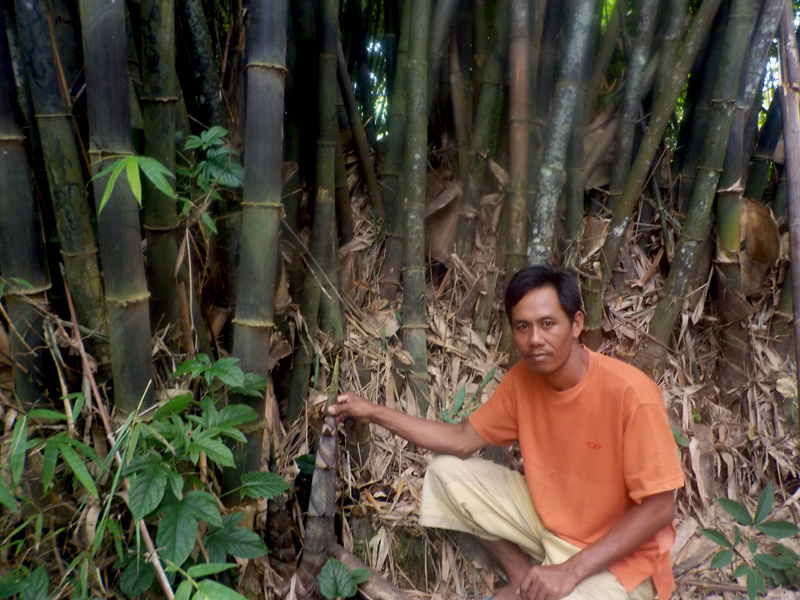 Holil, warga Gandus, Palembang, yang masih memanfaatkan bambu sebagai pendapatan keluarga. Foto: Yusri Arafat