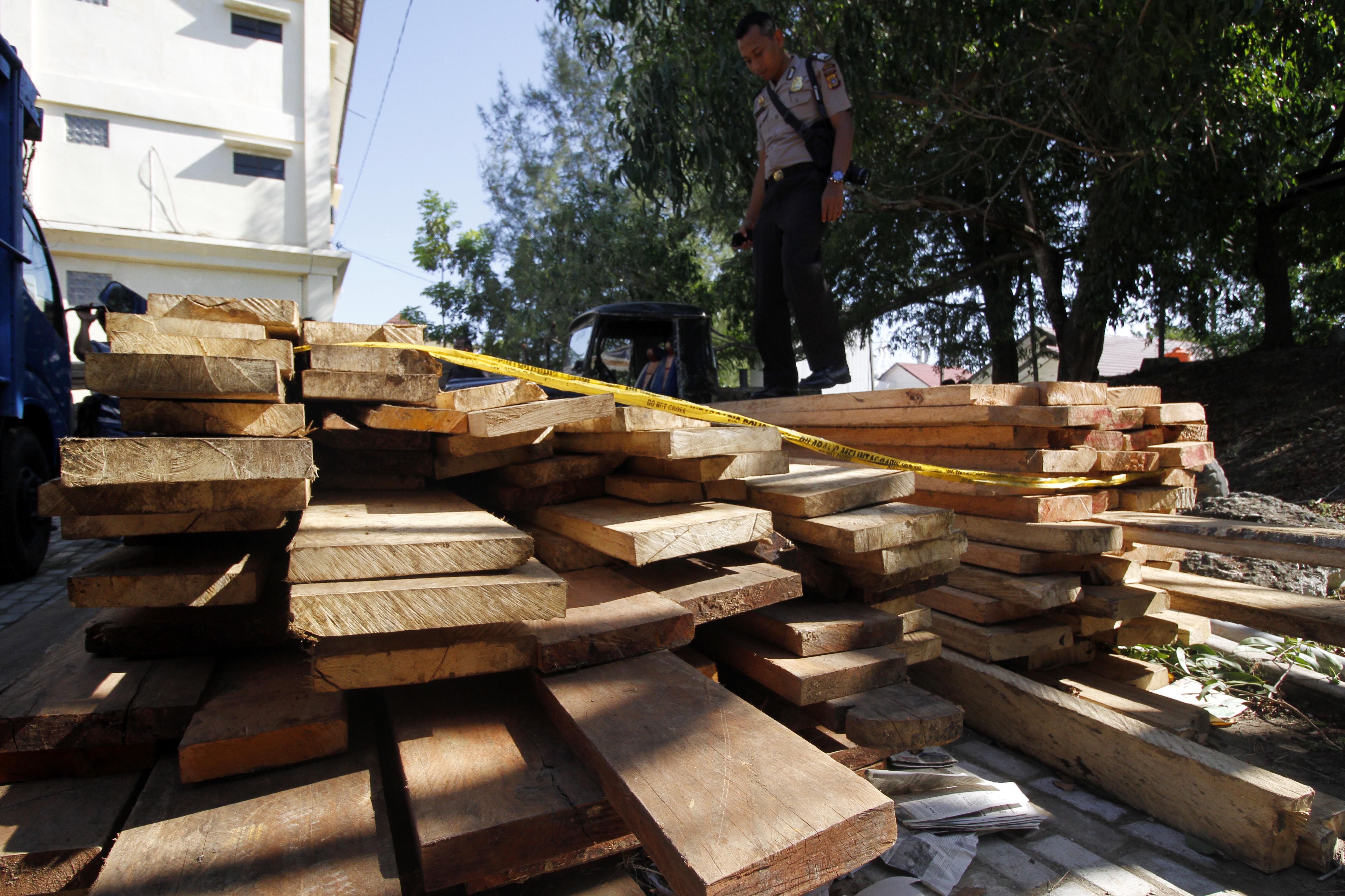 Pemberantasan kayu ilegal di Aceh terus dilakukan. Foto: Junaidi Hanafiah