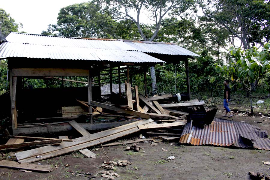 Rumah masyarakat yang dirusak gajah. Foto: Junaidi Hanafiah