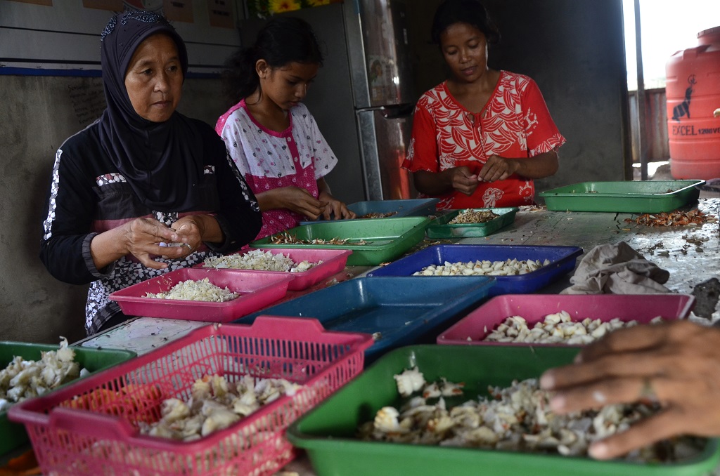 Aktivitas anggota kelompok wanita nelayan Ujung Parappa, Dusun Binanga Sangkara, Desa Ampekale, Kecamatan Bontoa, Kabupaten Maros, Sulawesi Selatan dalam mengolah kepiting. Setiap hari kelompok ini melakukan pengupasan kepiting 80-100 kg dengan penghasilan rata hingga Rp1 juta per anggota. Foto : Wahyu Chandra 