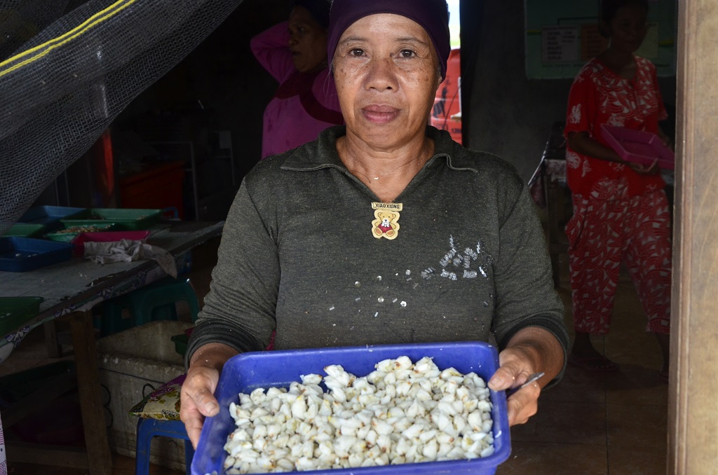 Dari hasil pengupasan kepiting ini,  Muliati, anggota kelompok wanita nelayan Ujung Parappa, Dusun Binanga Sangkara, Desa Ampekale, Kecamatan Bontoa, Kabupaten Maros, Sulawesi Selatan bisa memperoleh penghasilan tambahan. Foto : Wahyu Chandra