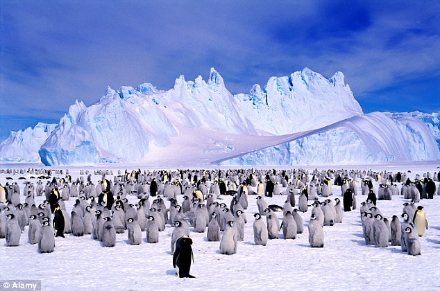 Hamparan es yang menyelimuti Kutub Selatan. Sumber: I.dailymail.co.uk