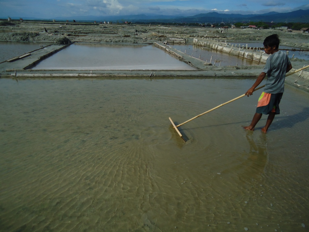 Badrung, seorang petani garam di Teluk Palu, Sulawesi Tengah sedang menggarap lahannya. Petani garam khawatir reklamasi di Teluk Palu  mengganggu usaha mereka. Foto : Themmy Doaly