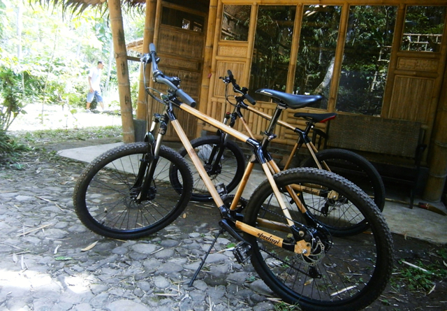 Sepeda bambu buatan Singgih. Foto: Nuswantoro