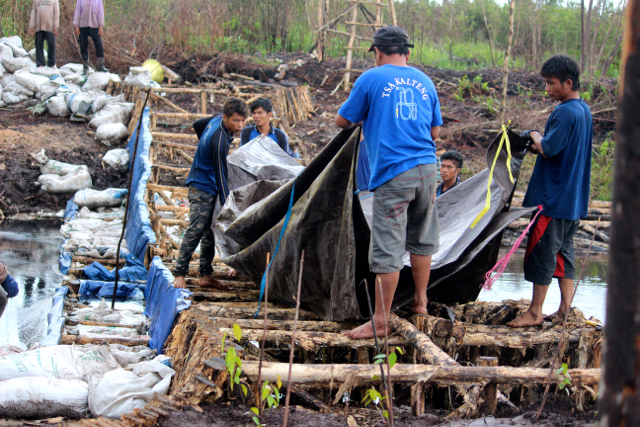 Sekat kanal yang dilakukan Greenpeace, Cimtrop, Save Our Borneo dan masyarakat lahan gambut di Taman Nasional Sebangau, Kalimantan Tengah, memasuki penghujan, akhir tahun lalu. Foto: Sapariah Saturi